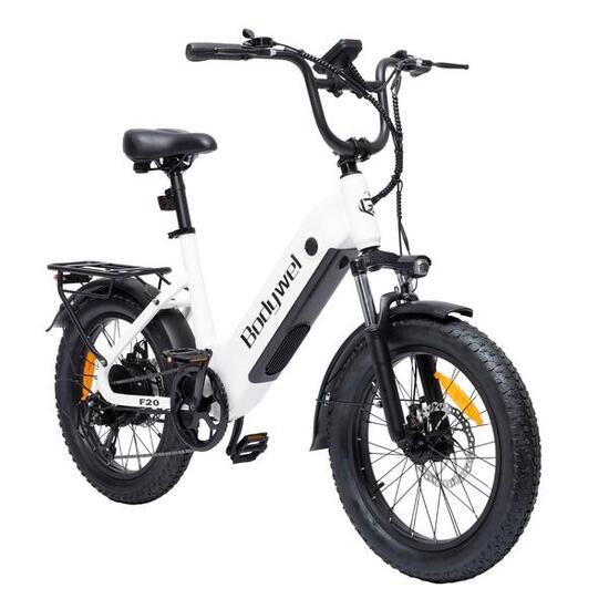 Vélo électrique pour adulte Bodywel F20, batterie 48V 13,5Ah, moteur 250W