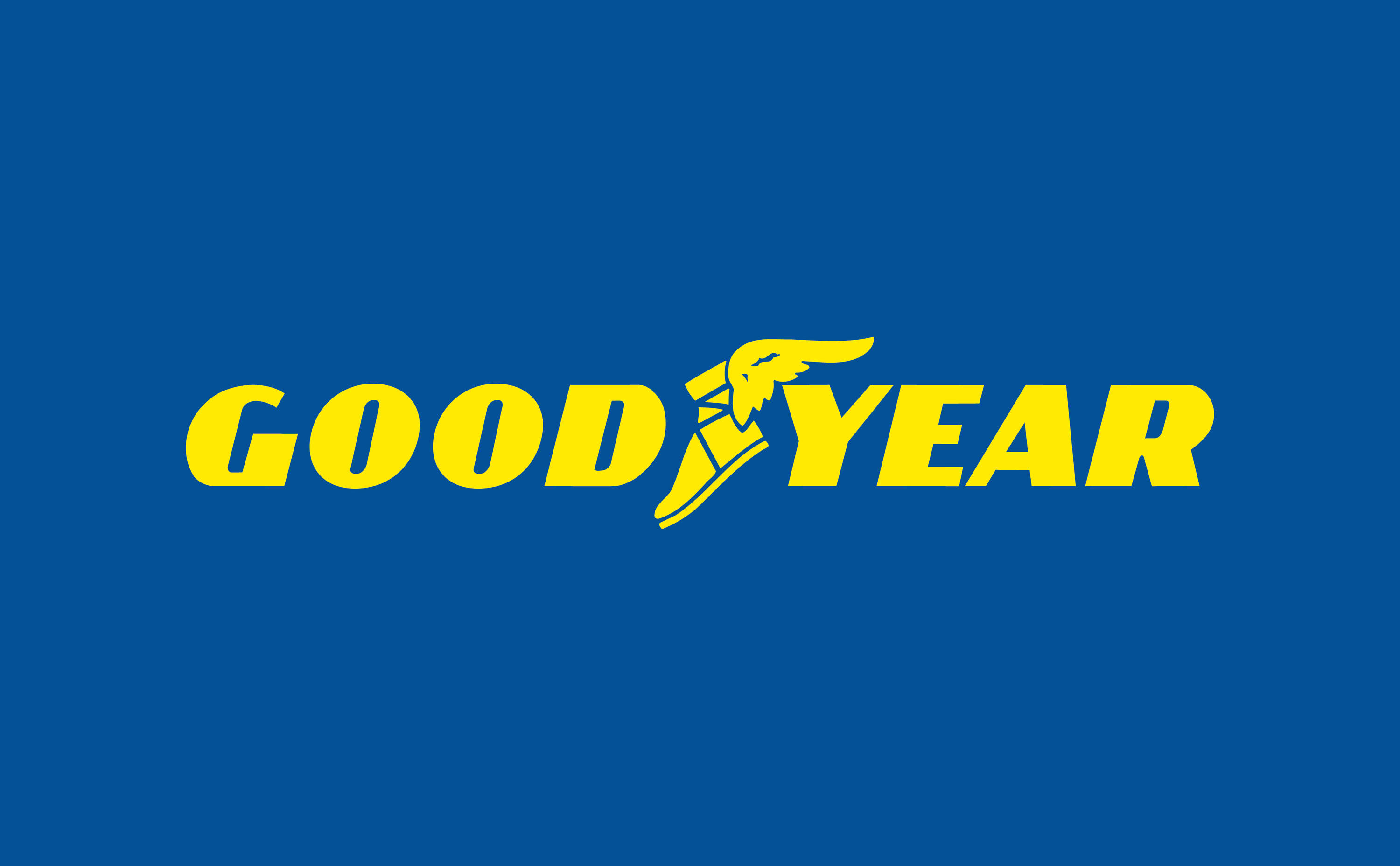 Generador Inverter Goodyear para Deporte y Camping. 10/10