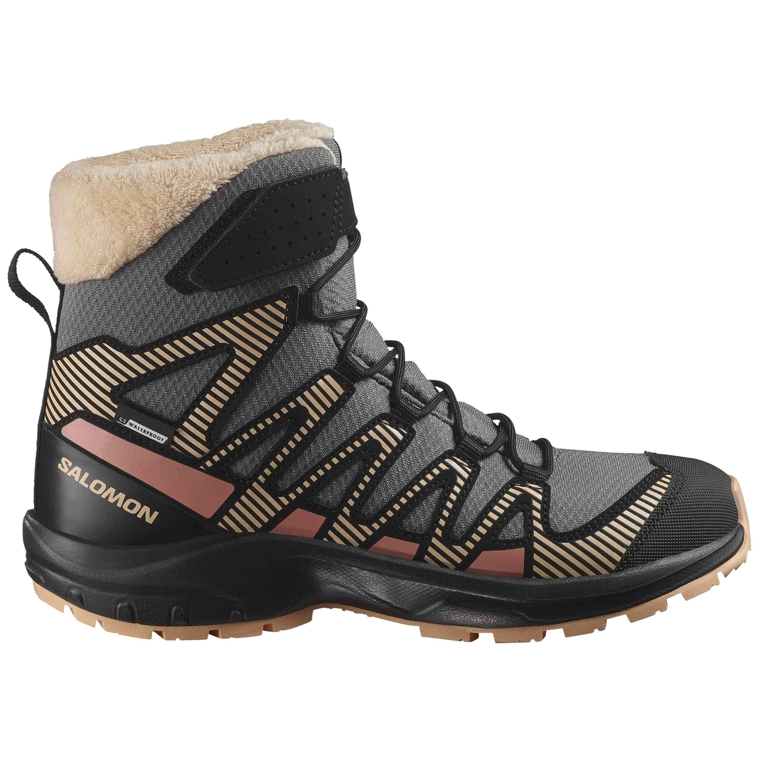SALOMON picture