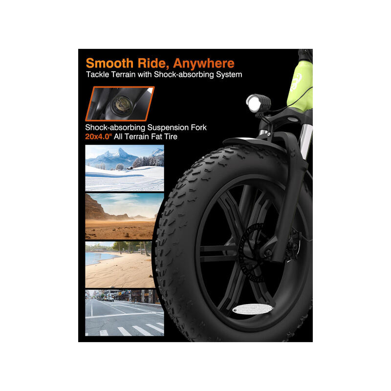F20PRO bicicletă electrică pentru adulți, baterie 48V20Ah, roți 20x4.0" fat tire