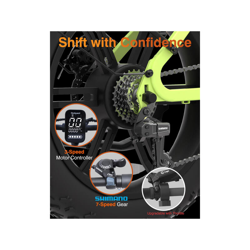 F20PRO bicicletă electrică pentru adulți, baterie 48V20Ah, roți 20x4.0" fat tire