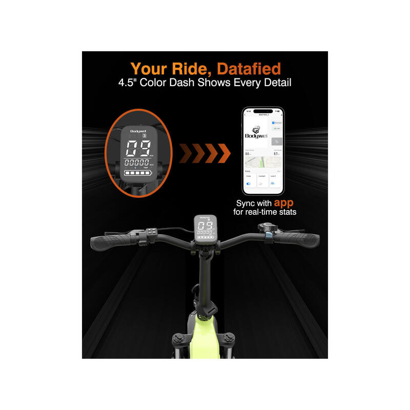 F20PRO bicicletă electrică pentru adulți, baterie 48V20Ah, roți 20x4.0" fat tire