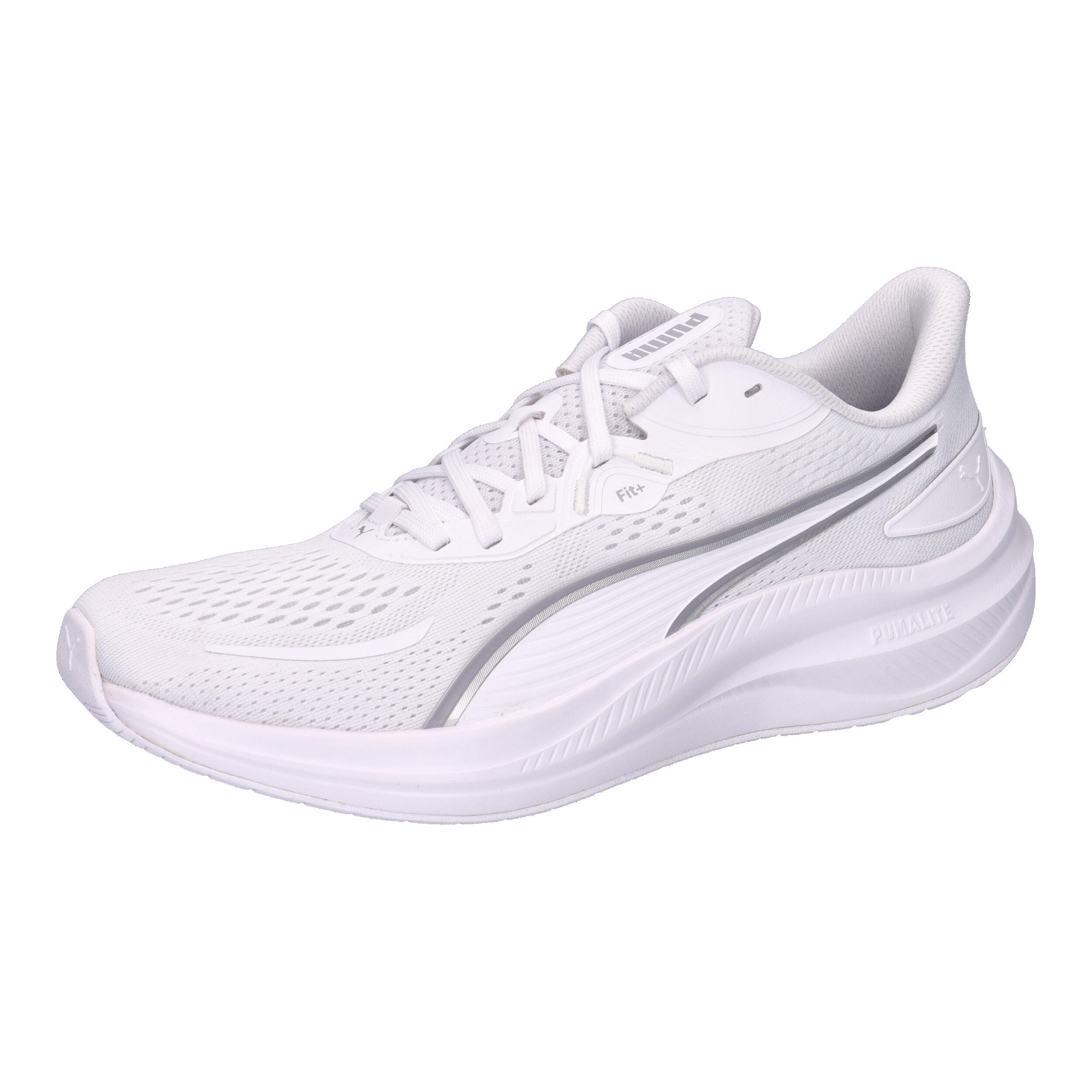 PUMA picture