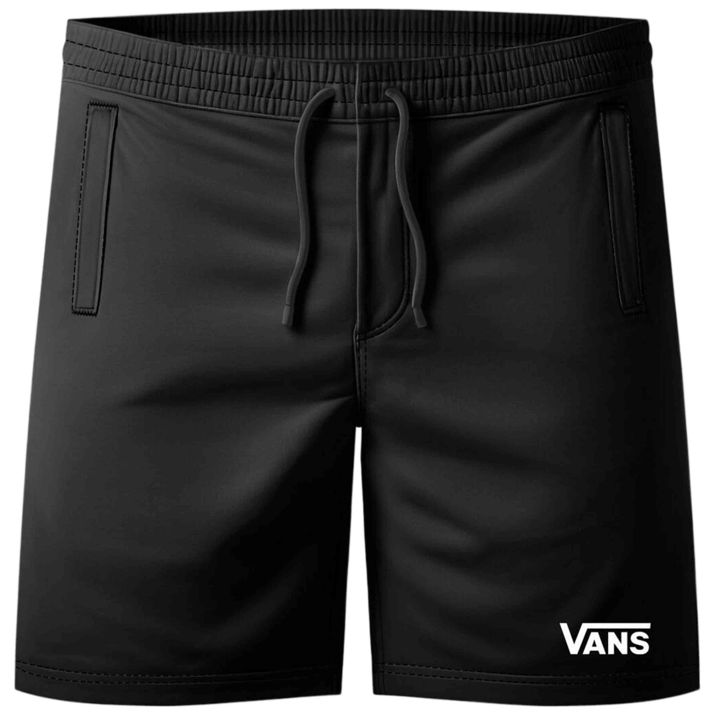 VANS picture