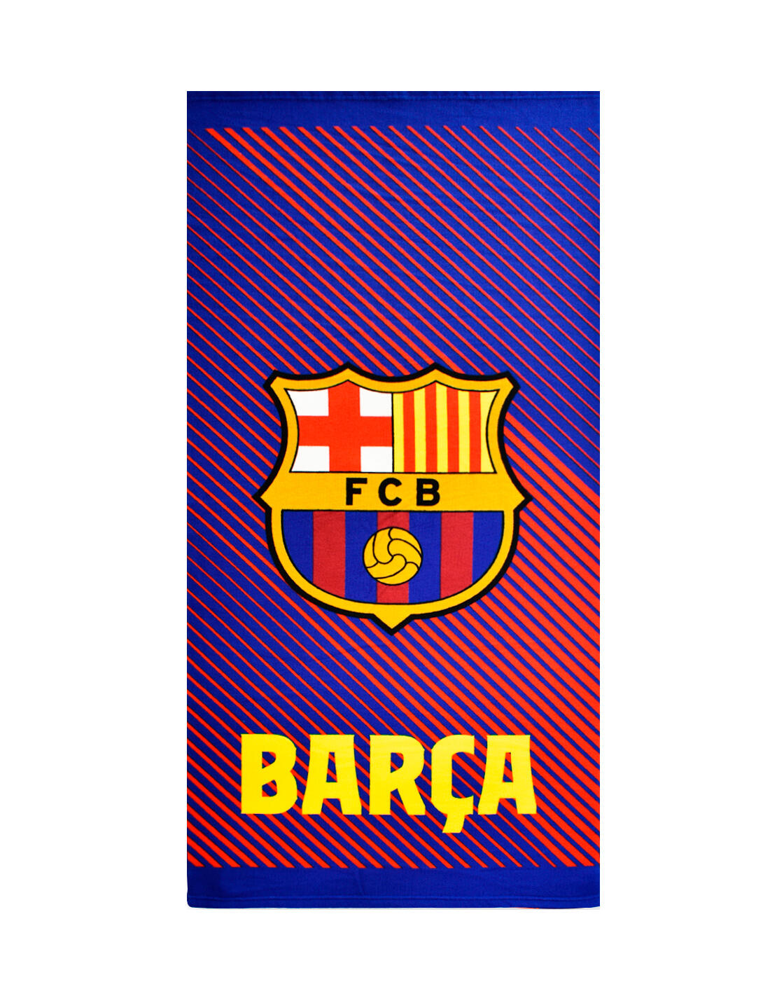 FC BARCELONA picture