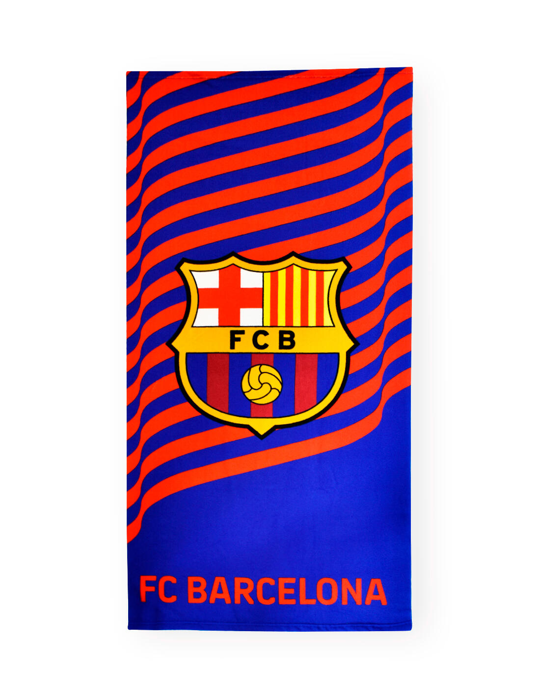 FC BARCELONA picture