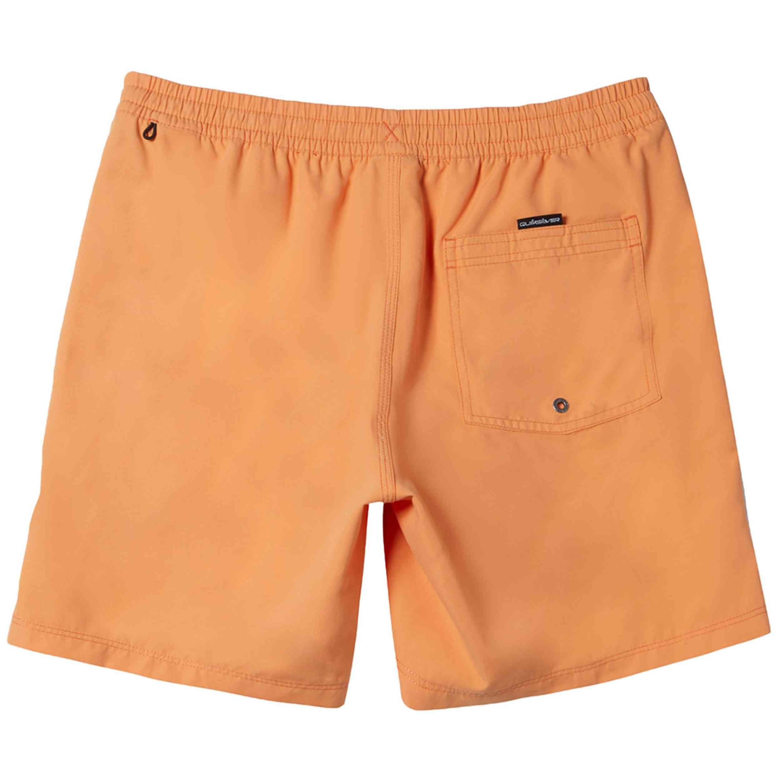 Maillot de bain Quiksilver modèle QUIKSILVER Solid 15 - Bañador pour homme 2/4