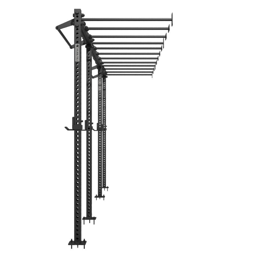 Rig fonctionnel mural + barres de singe Cross Training, 2 places | Fitness Tech 4/6