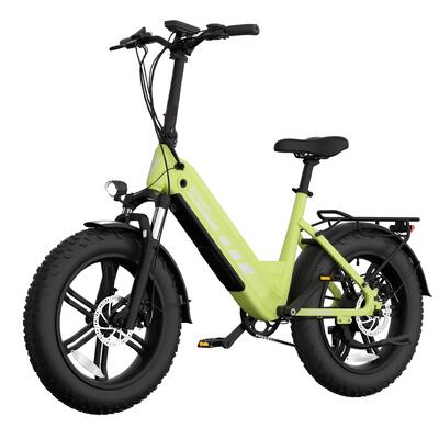 F20pro elektrische fiets voor volwassenen, 48v20ah accu, 20×4.0" banden.