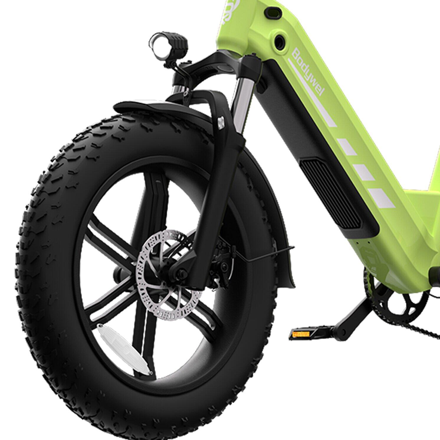 F20PRO vélo électrique adulte, batterie 48V20Ah, pneus 20×4.0". 5/12