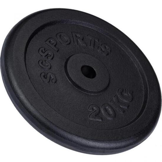 Hantelscheiben 20 kg Gusseisen 30/31 mm