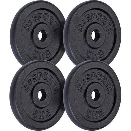 Disque musculation fonte 2x30kg