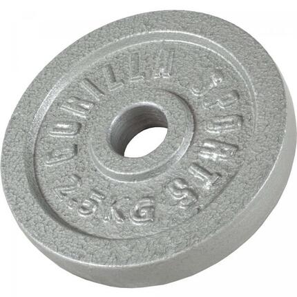 DISQUE DE MUSCULATION FONTE GRIS | DIAM 31MM | AU CHOIX DE 1,25KG À 30KG
