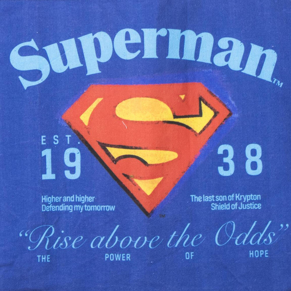 Sac cabas Cerda DC Comics Superman 2/4