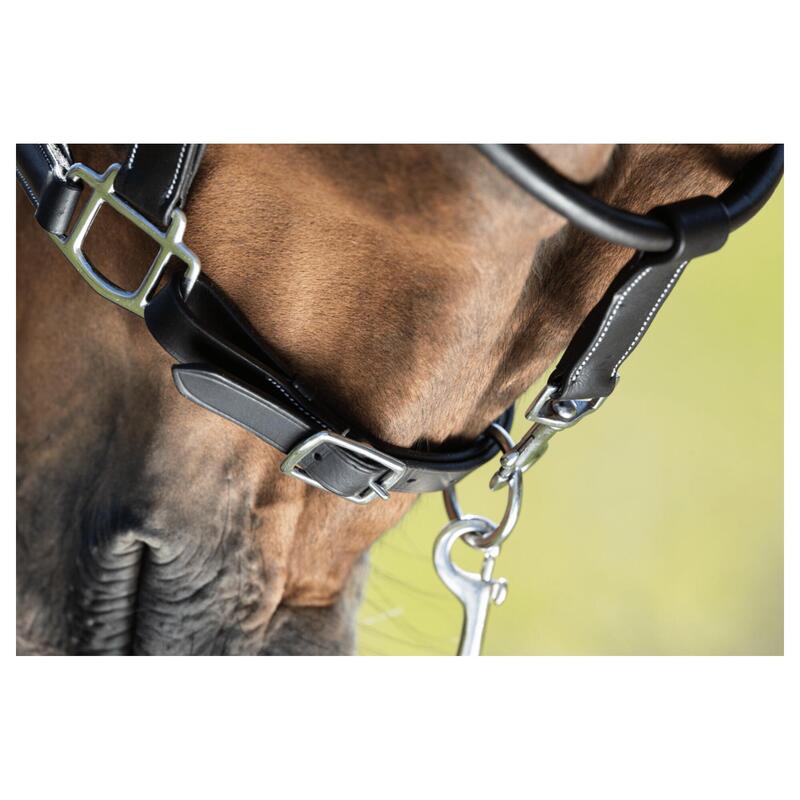 Hfi Grooming Halster Bruin -