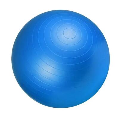 Fitnessbal ø 65 cm - incl. pomp - gym bal - yoga - belastbaar tot 500 kg - blauw