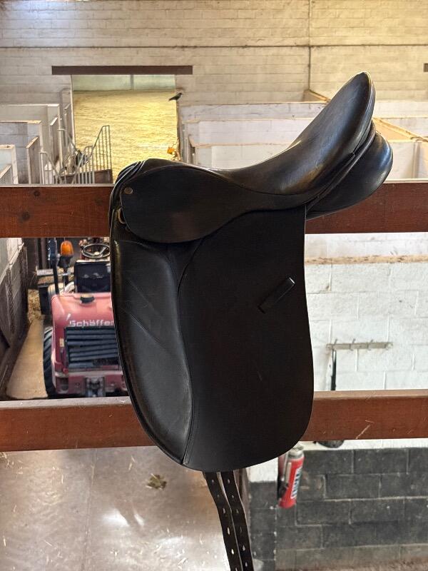 HARRYS HORSE picture