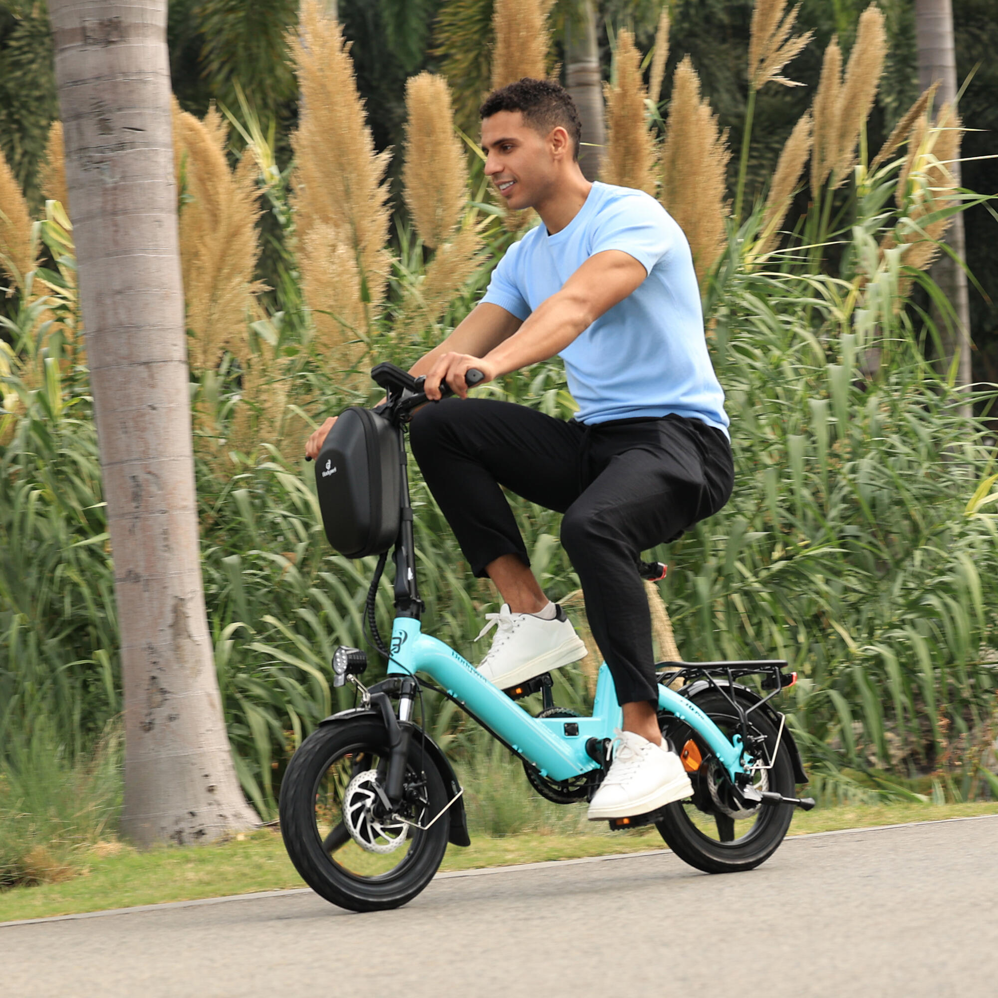 T16PRO-HJ bici elettrica urbana adulti, batteria 36V10Ah, pneumatici 14". 6/12