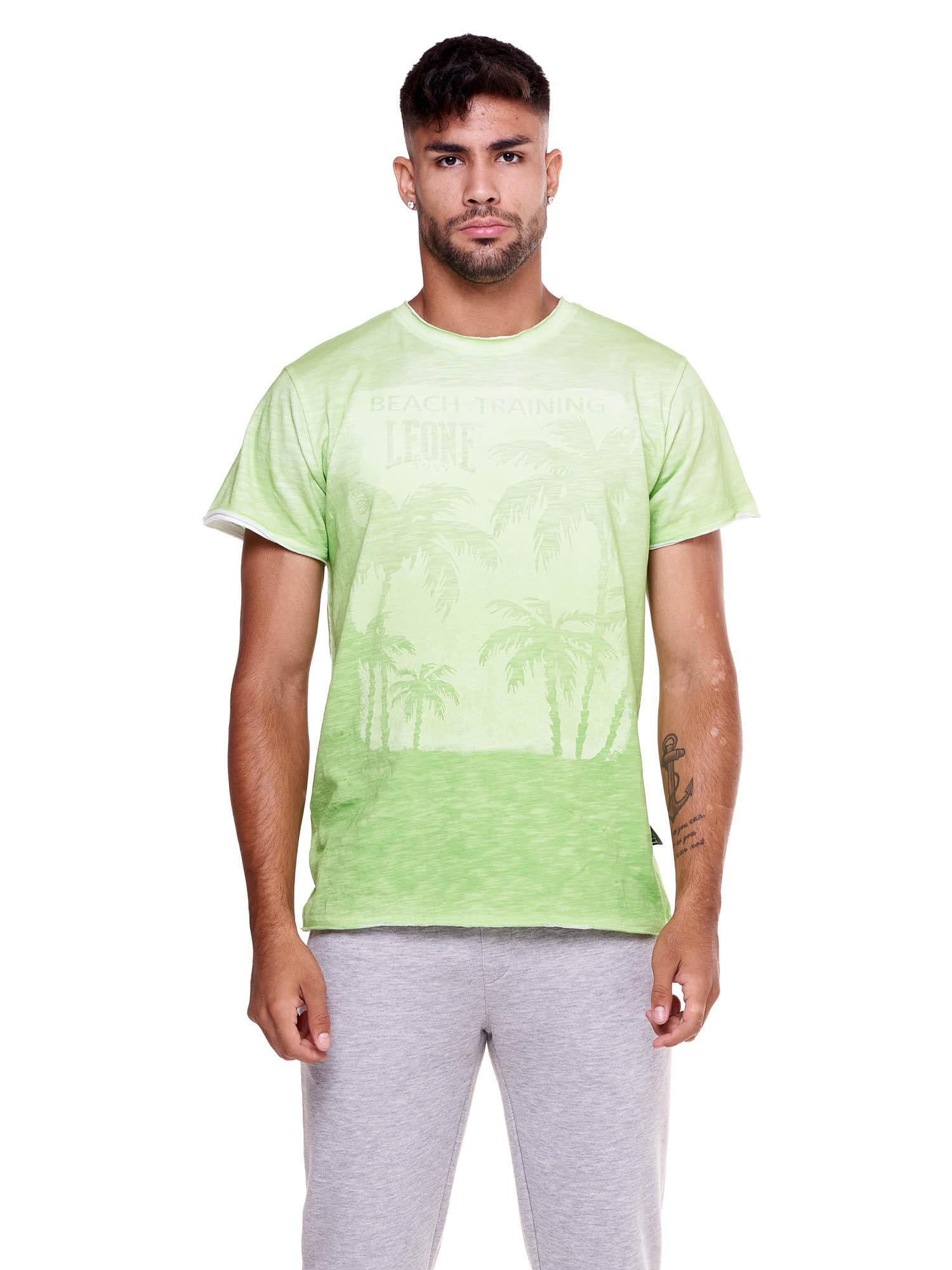 Verde / Cinza caqui