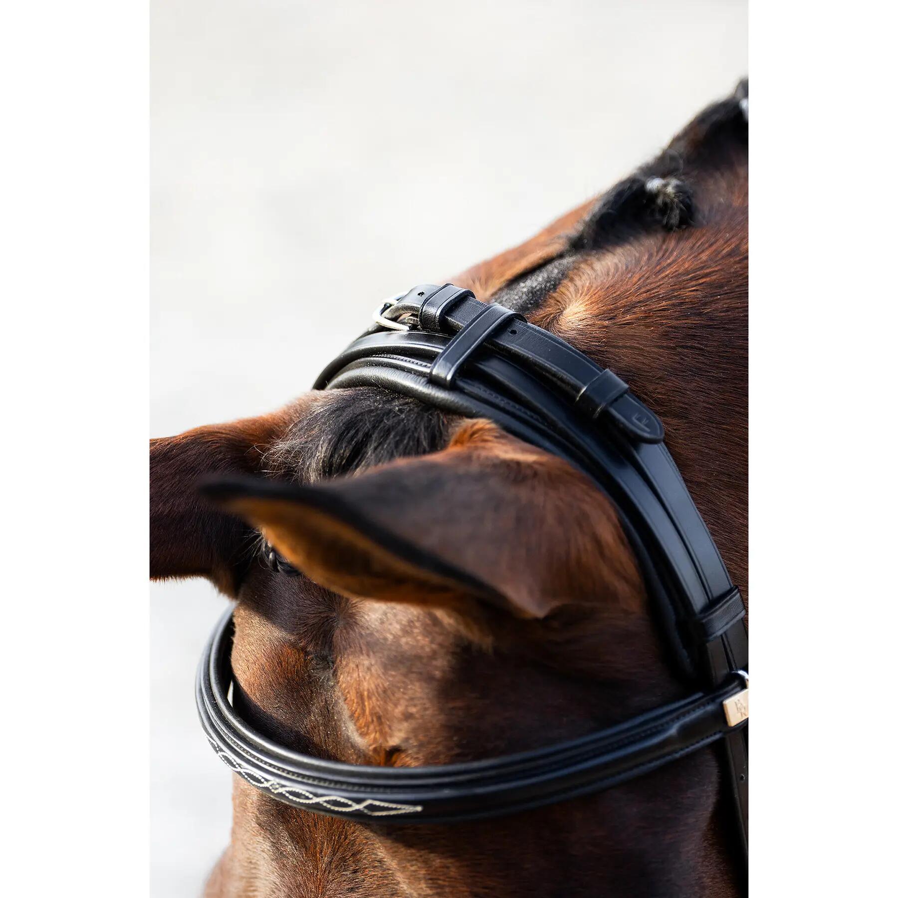 Anatomiczna wędzidło jeździeckie BR Equitation Seaford 5/5