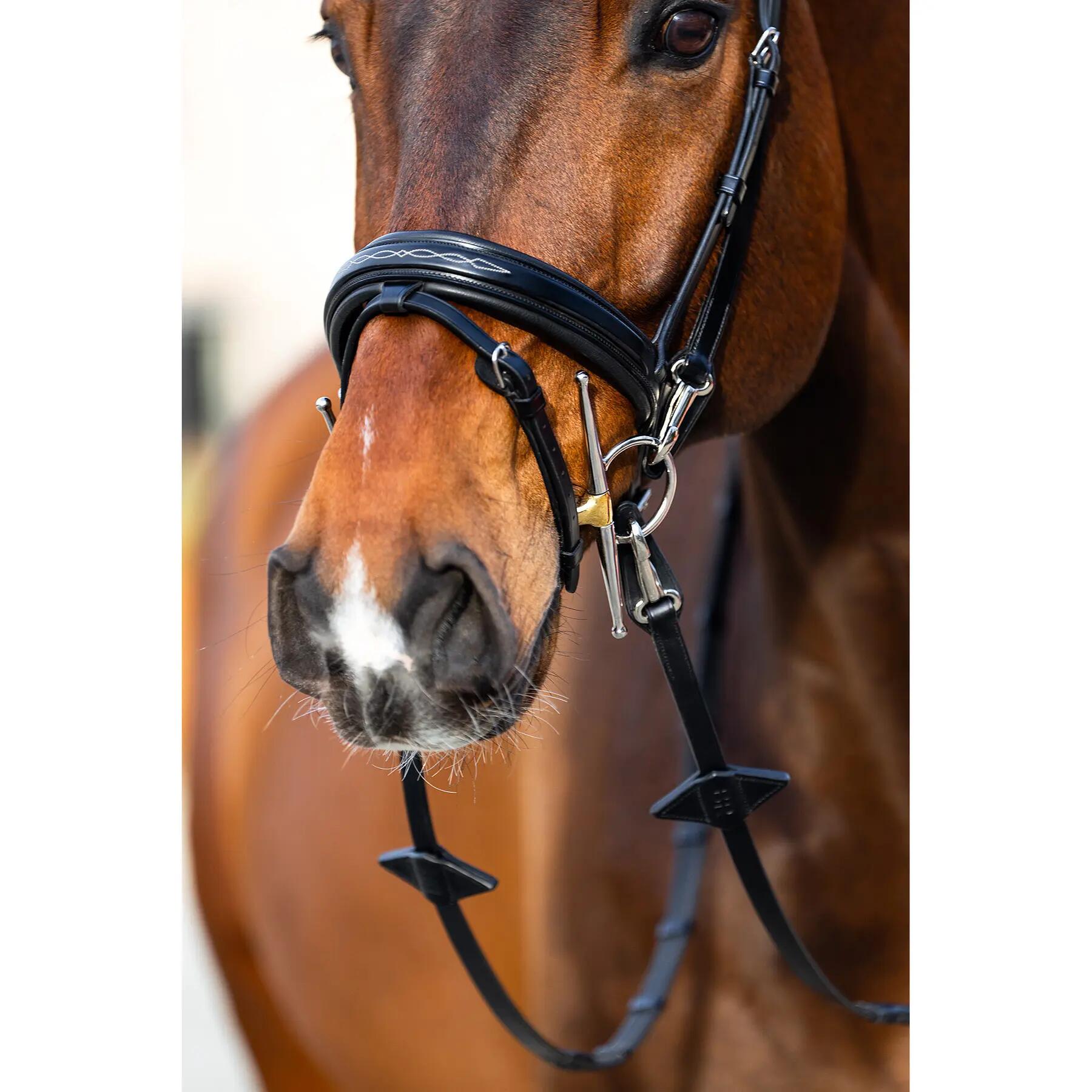 Anatomiczna wędzidło jeździeckie BR Equitation Seaford 4/5