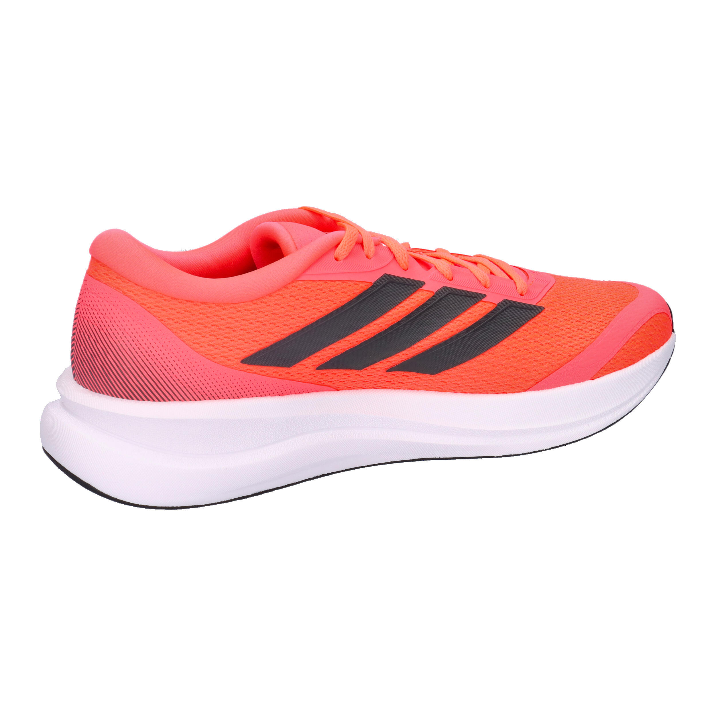 Chaussure de running Runfalcon 6 CLOUDFOAM 14/14
