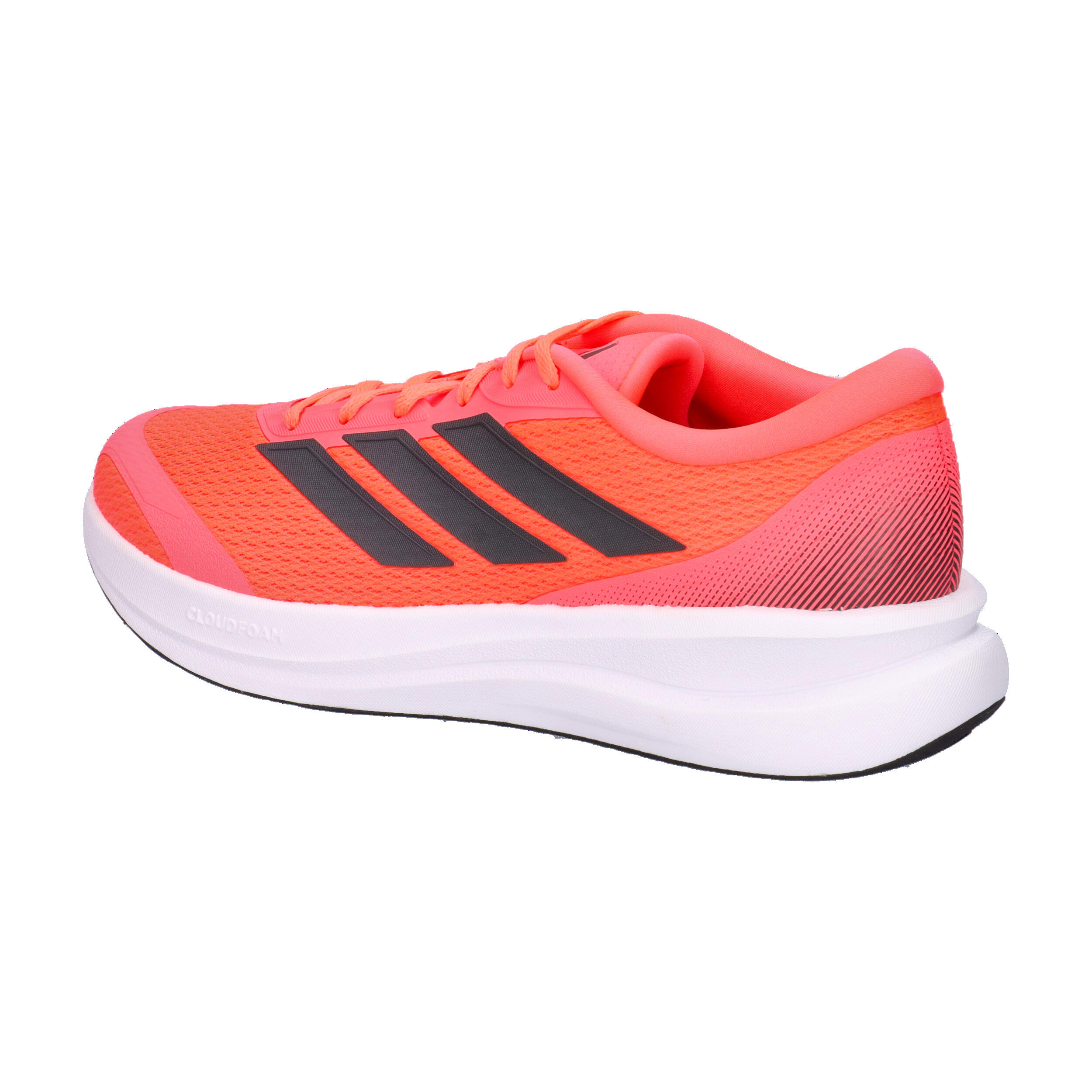 Chaussure de running Runfalcon 6 CLOUDFOAM 10/14