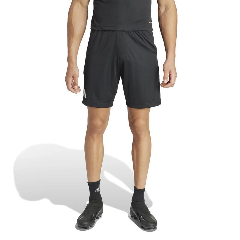 Pantaloni scurți Referee 24