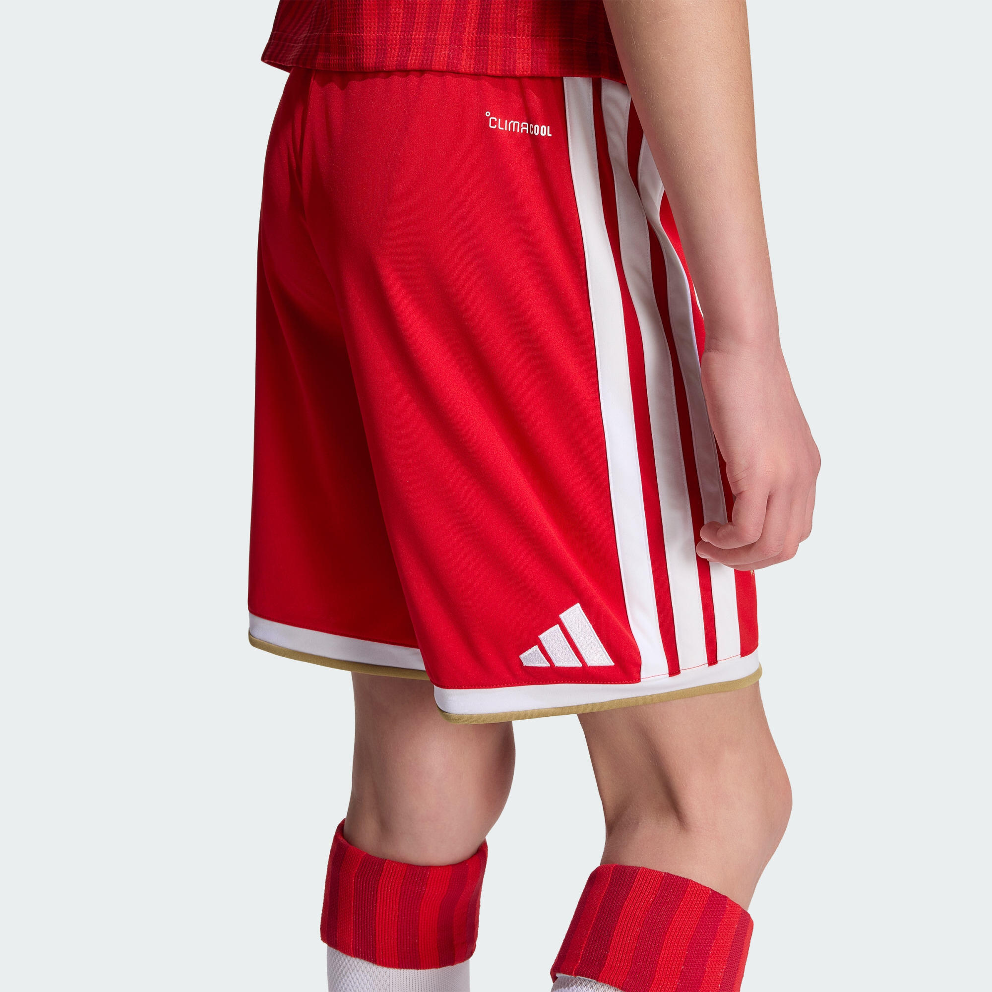 Spodenki podstawowe dla dzieci FC Bayern 26/27 5/12