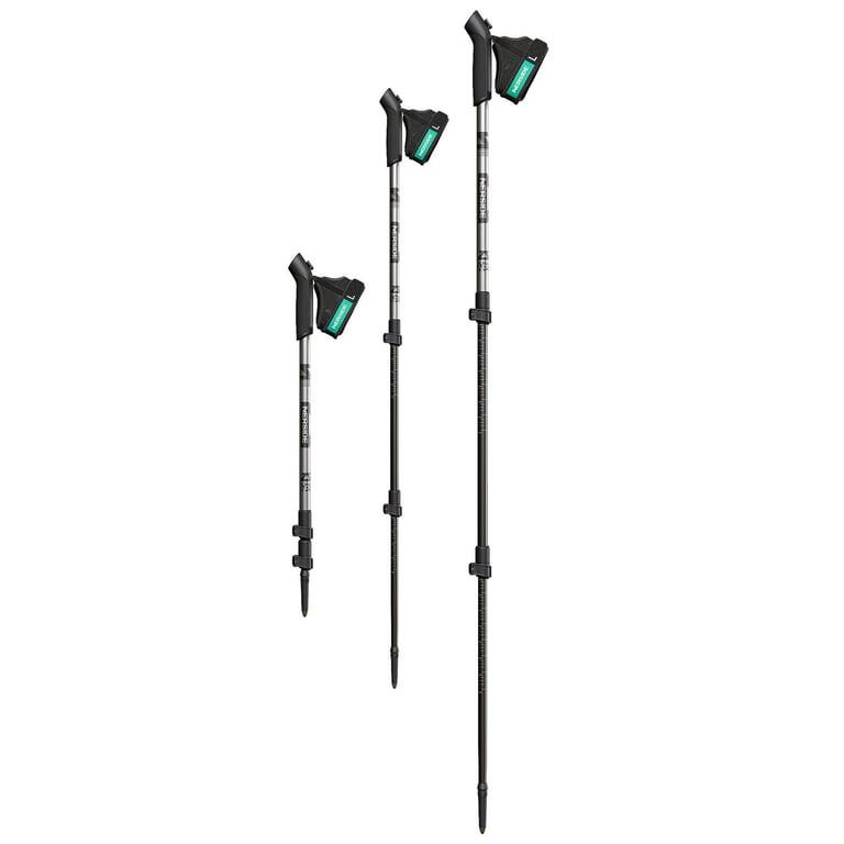 NERSIDE Kije nordic walking NS6001TPGY Alpana szary 7/7