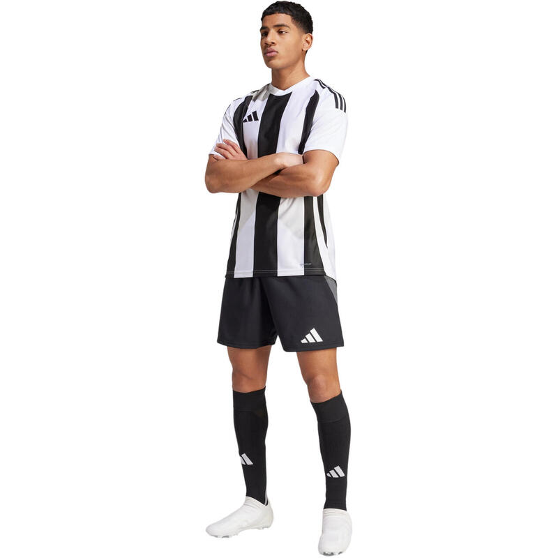 Tricou Striped 24