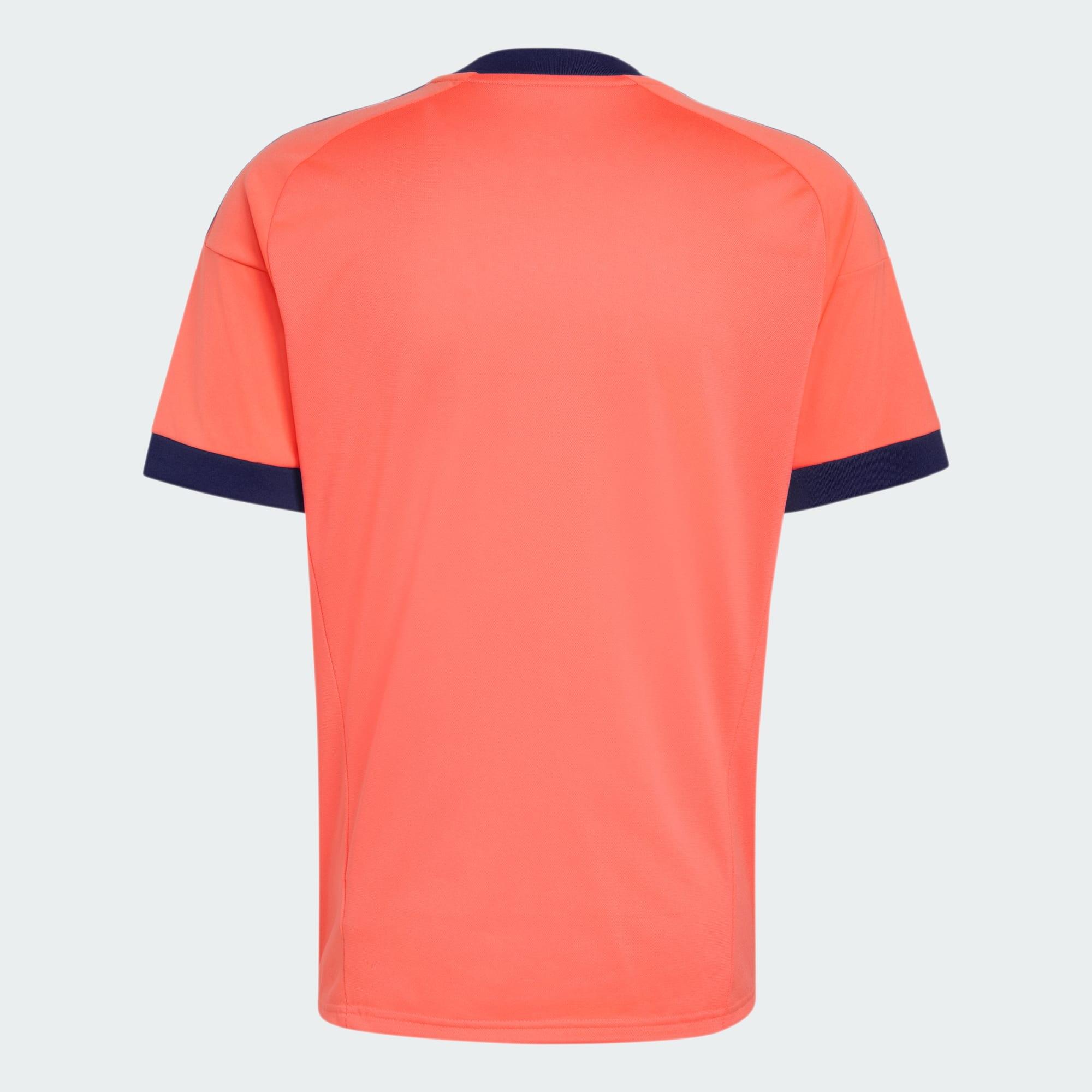 Camiseta de portero segunda equipación Alemania 26 6/8