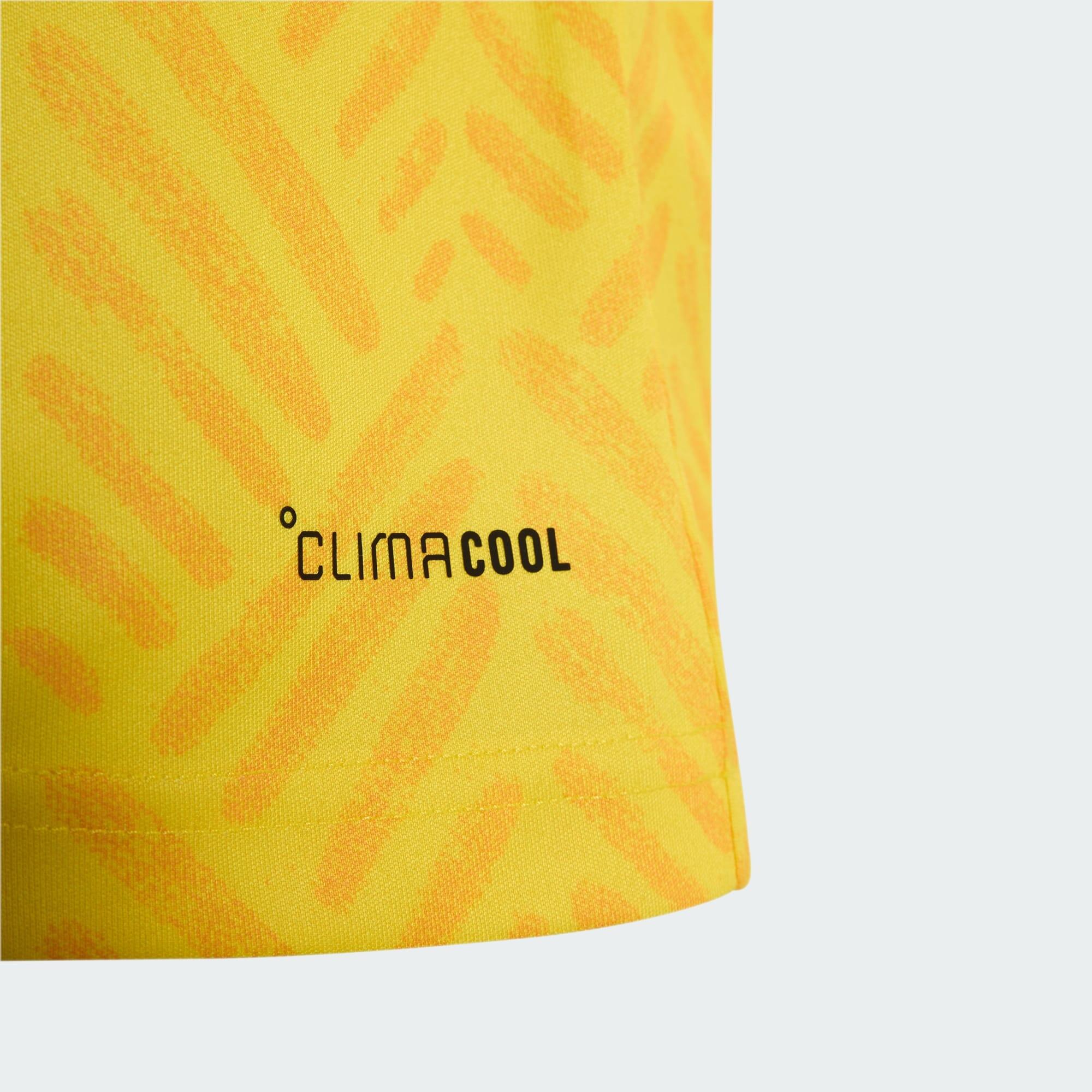 Camisola Principal 26 da África do Sul — Criança 5/7