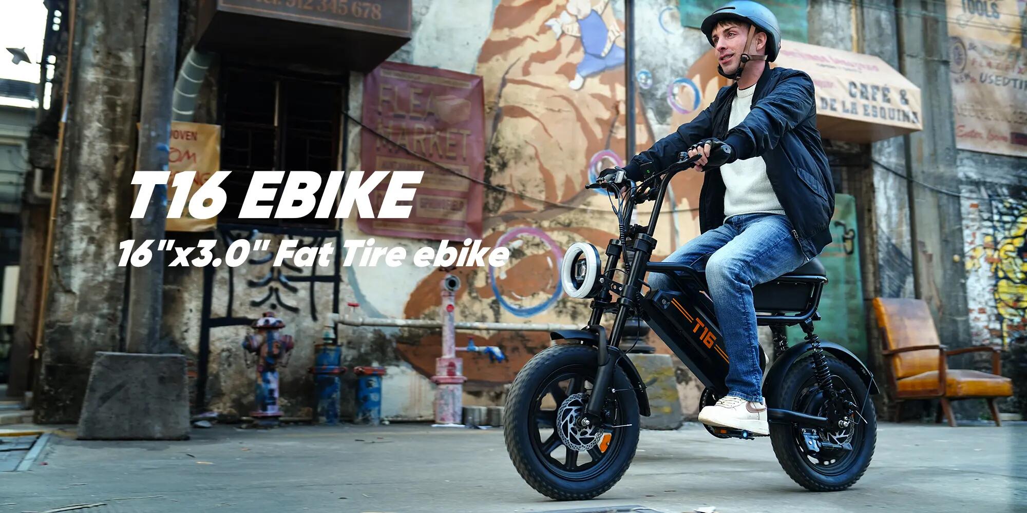 Bicicletta elettrica per adulti URLIFE T16 Batteria 48V 13AH 15/15