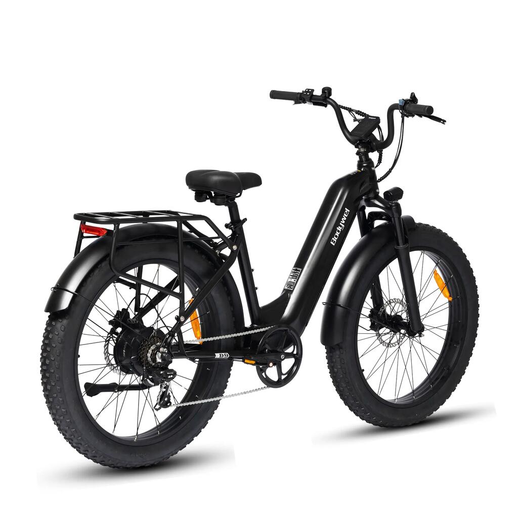 Electric Bike for adult Bodywel D9 48V 20Ah battery 250W motor