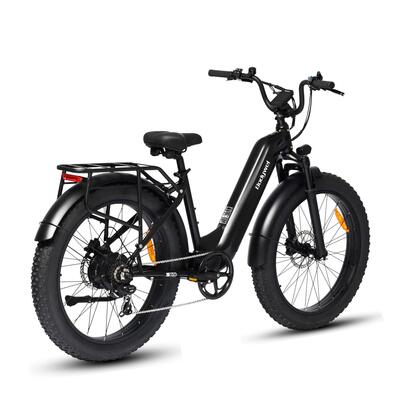 Elektrische fiets voor volwassenen bodywel d9, 48v 20ah-accu, 250w-motor