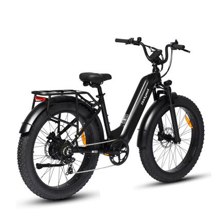 Vélo électrique pour adulte Bodywel D9, batterie 48V 20Ah, moteur 250W