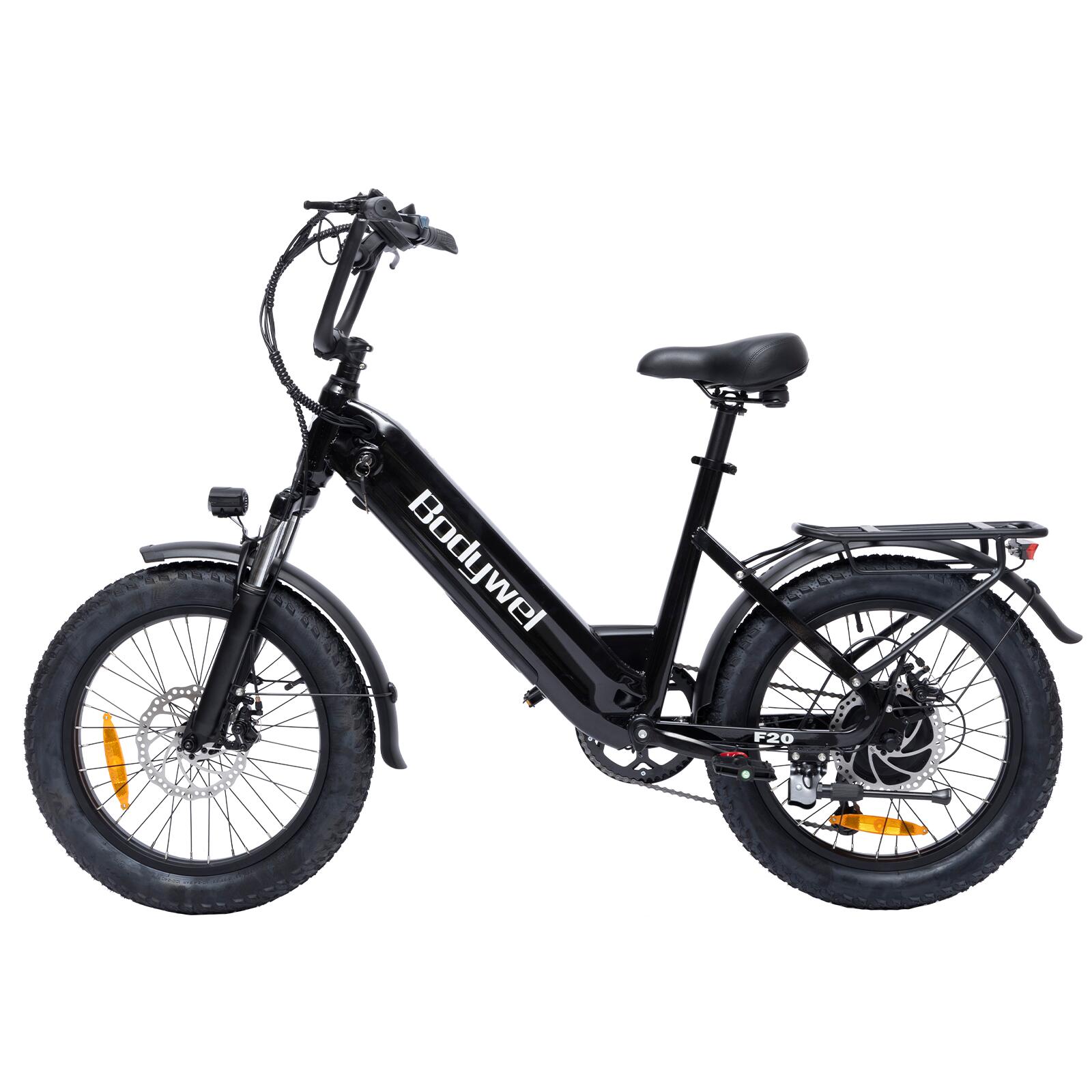 Elektrické kolo pro dospělé F20 s 48V15Ah baterií, 20×3,0" plášti a krytím IPX5. 3/11