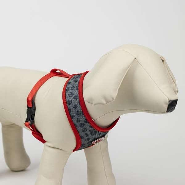 Harnais Premium pour chien Minnie Reversible Rojo y Gris Talla S/M 6/7