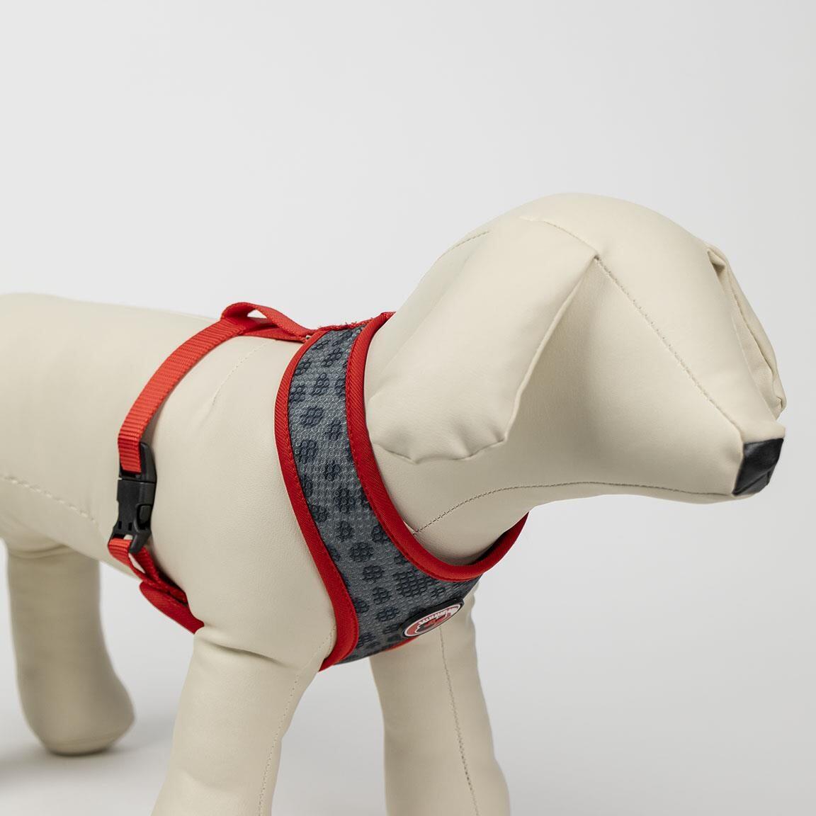 Harnais Premium pour chien Minnie Reversible Rojo y Gris Talla S/M 4/7