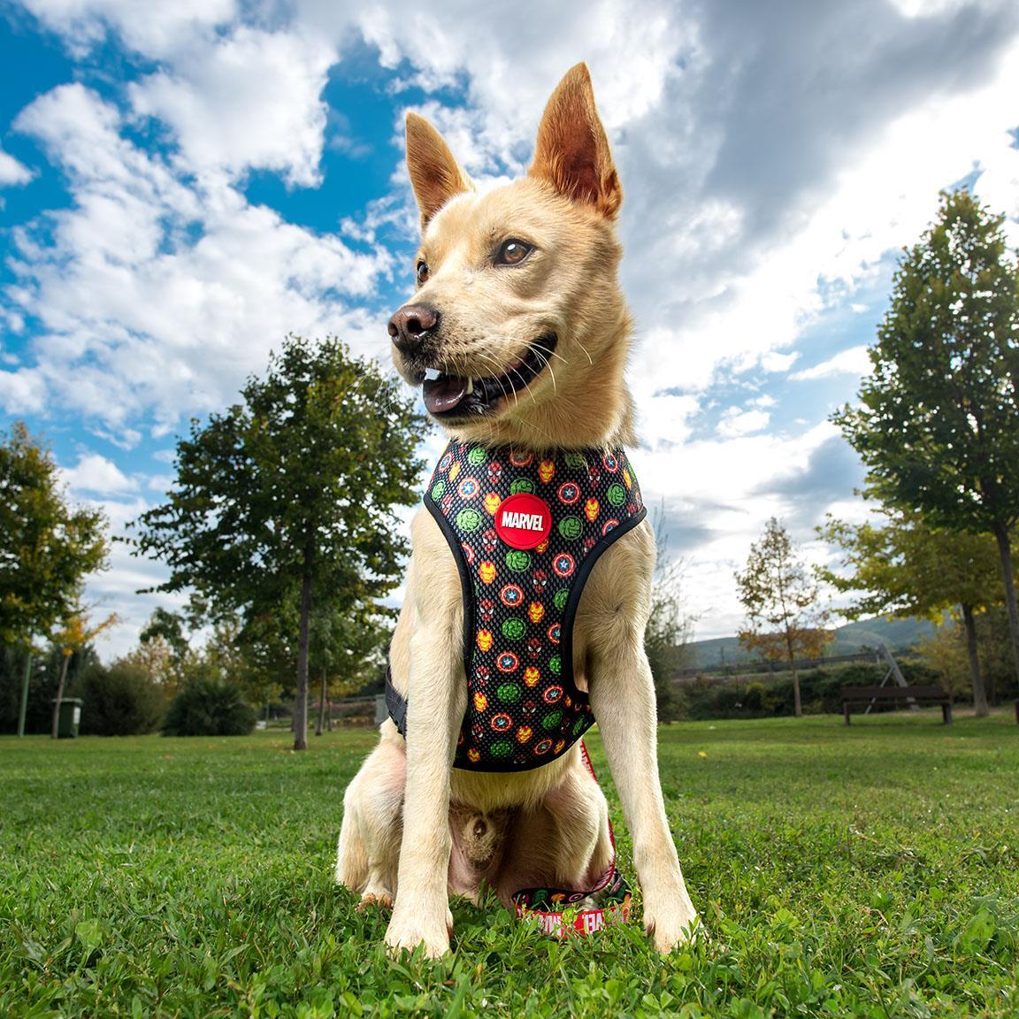 Arnés para Perros Infantil Marvel Capitán América Ajustable Azul y Rojo 3/7