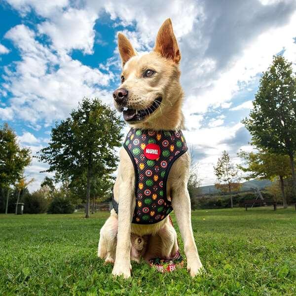 Arnés para Perros Infantil Marvel Capitán América Ajustable Azul y Rojo 5/7