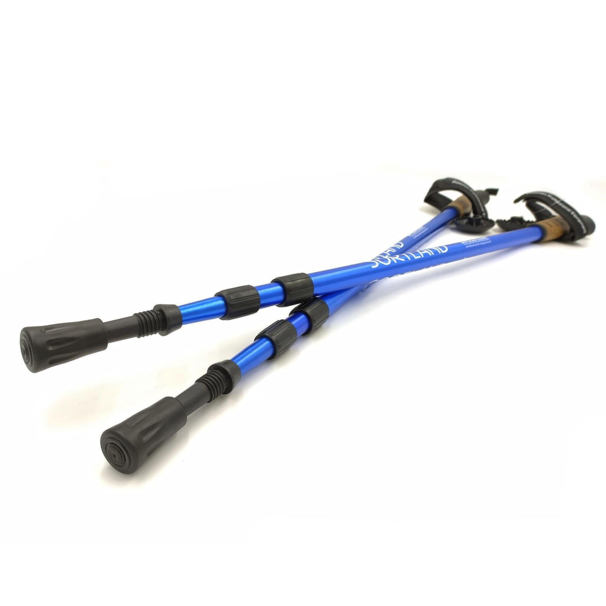 Kije nordic walking Evolution Professional Equipment Sortland 3-sekcyjne 4/5