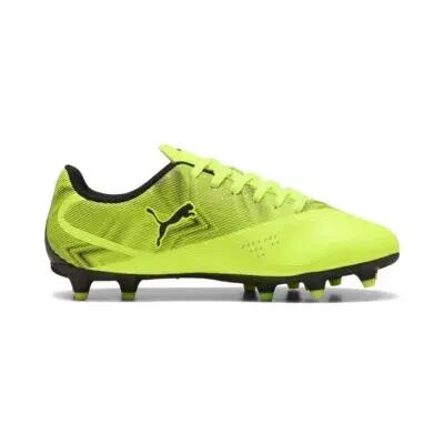 PUMA picture