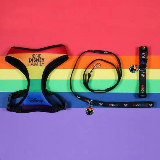 Harnais pour chiens Disney Pride Ajustable Multicolor avec Hebilla y Anilla 7/7