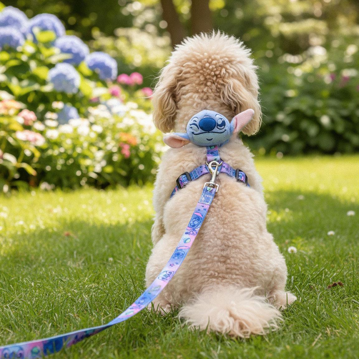 Set de Geschirr y Leine für Hunde Stitch Azul con Peluche Frontal 7/7