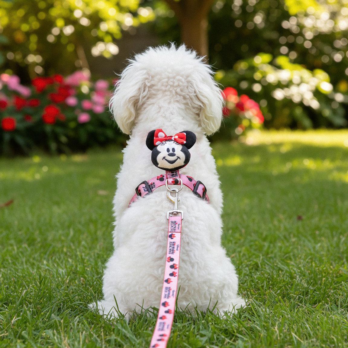 Set de Geschirr y Leine para Mascotas Minnie Mouse Rojo y Rosa Ajustable 7/7