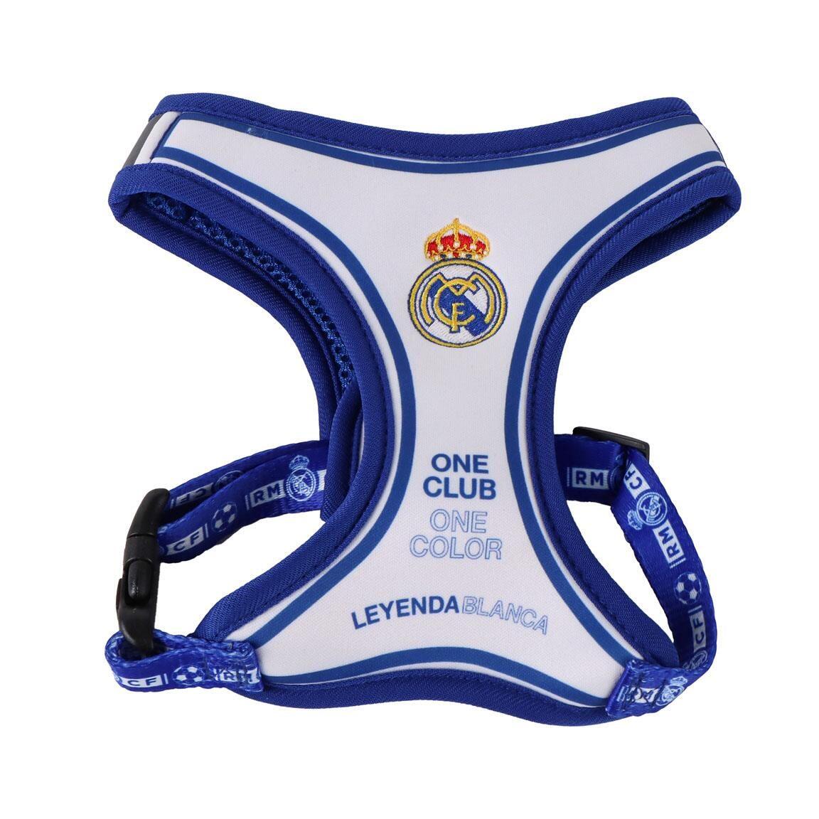REAL MADRID picture