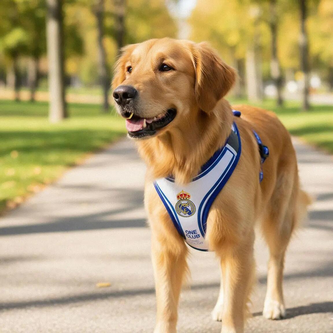 Arnês para cãess Real Madrid Ajustable con Cierre de Clip Azul y Blanco 6/7