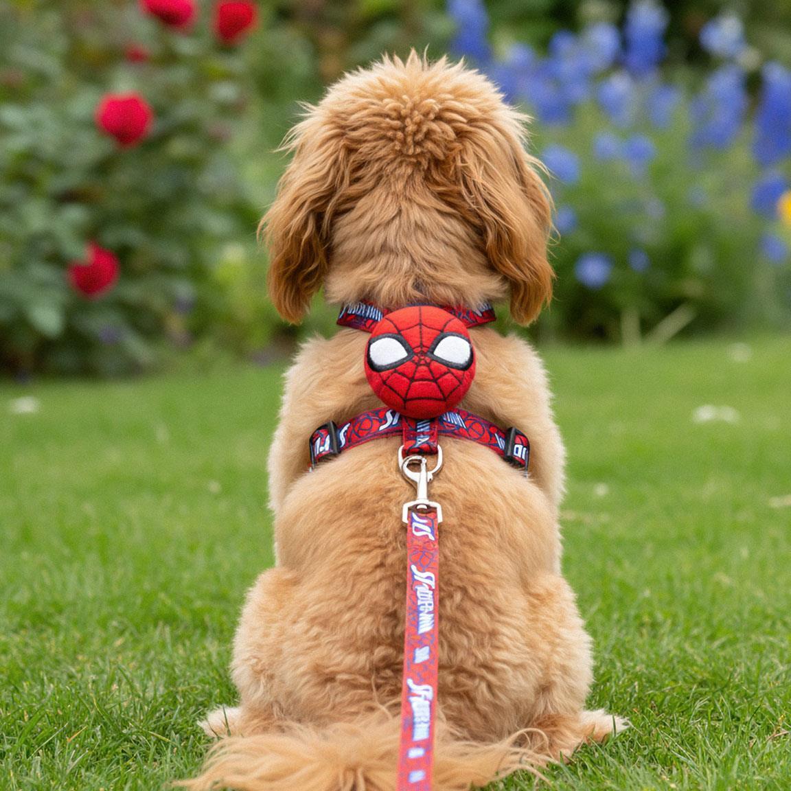 Set Arnés y Correa para Mascotas Infantil Spiderman Rojo y Azul Ajustable 7/7